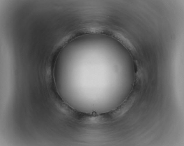 X0000111530306200907211250