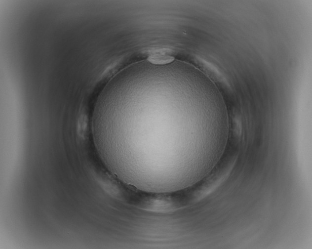 X0000111530308200907211250