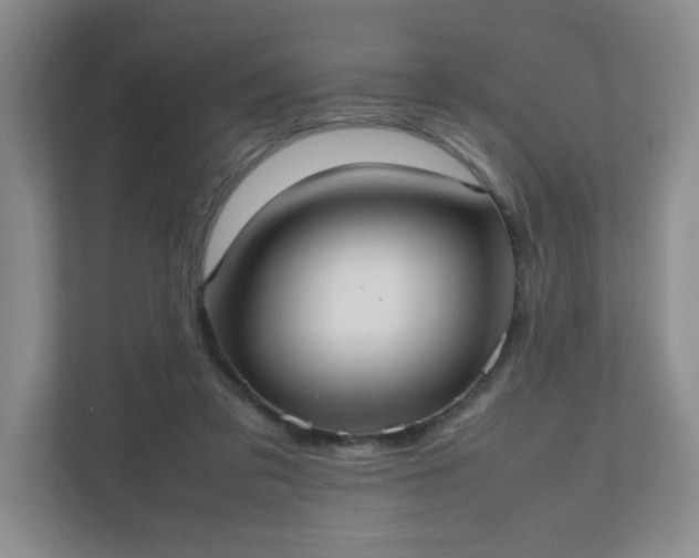 X0000111530309200907211250