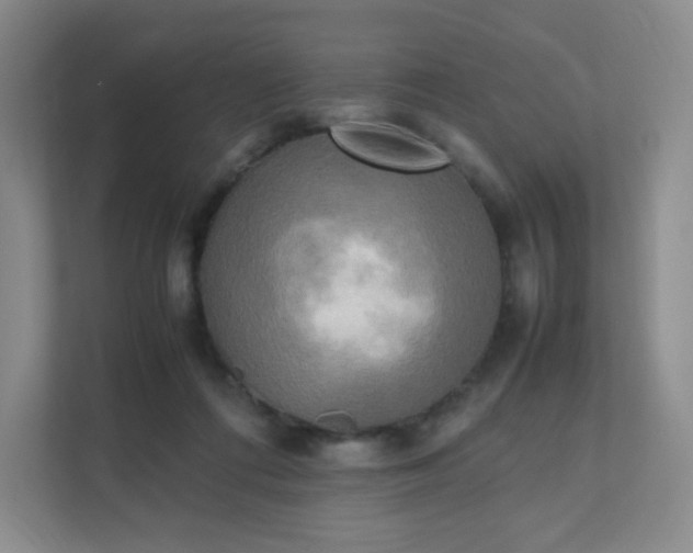 X0000111530312200907211250