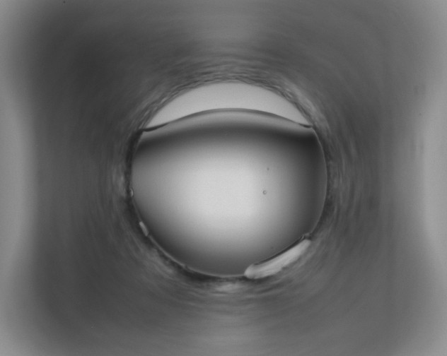 X0000111530313200907211250