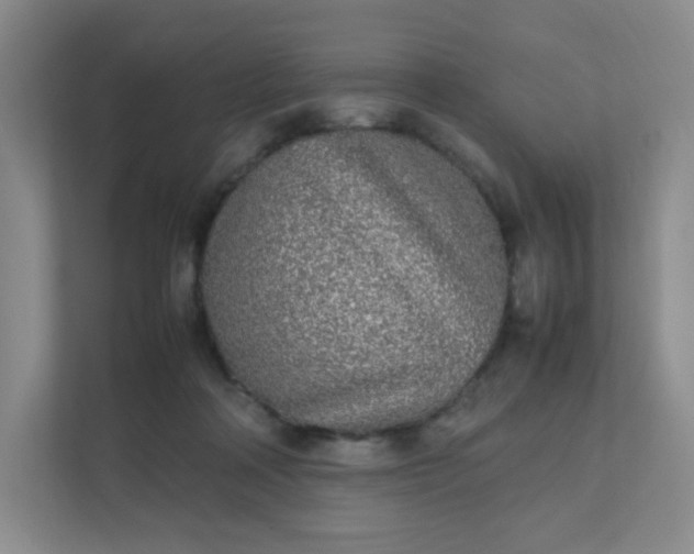 X0000111530314200907211250