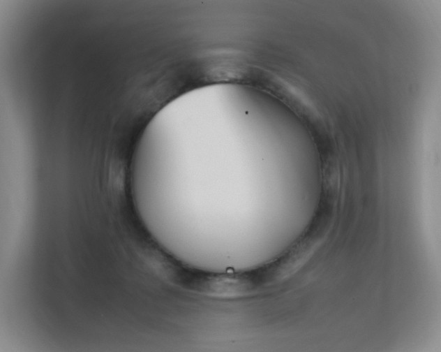 X0000111530315200907211250