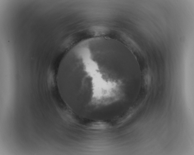 X0000111530316200907211250