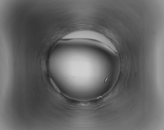 X0000111530317200907211250