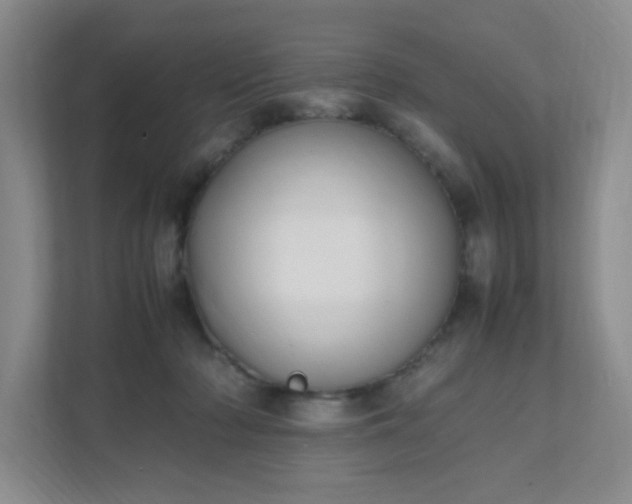 X0000111530318200907211250