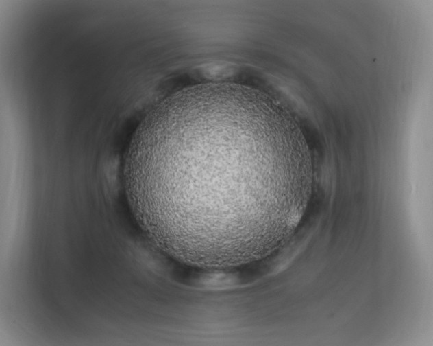 X0000111530319200907211250