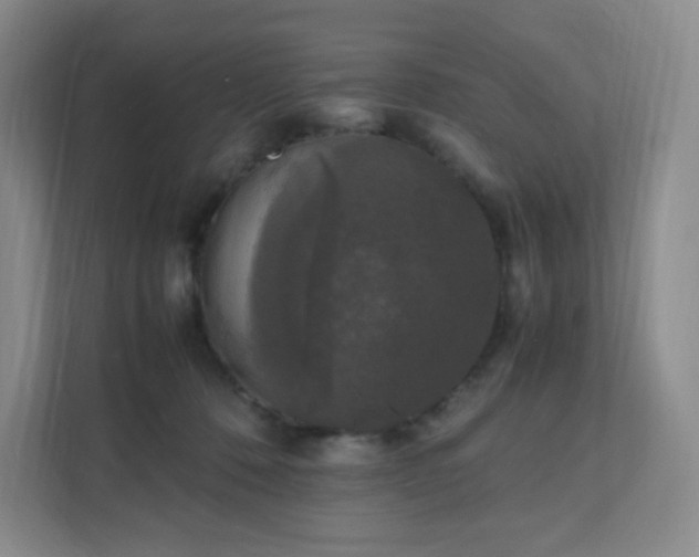 X0000111530320200907211250