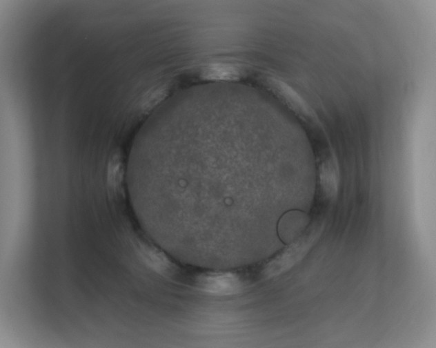 X0000111530322200907211250