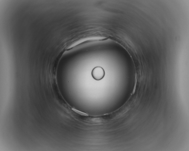 X0000111530324200907211250