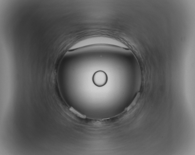 X0000111530325200907211249