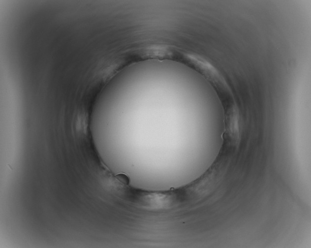 X0000111530326200907211249