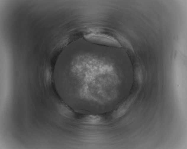 X0000111530328200907211249