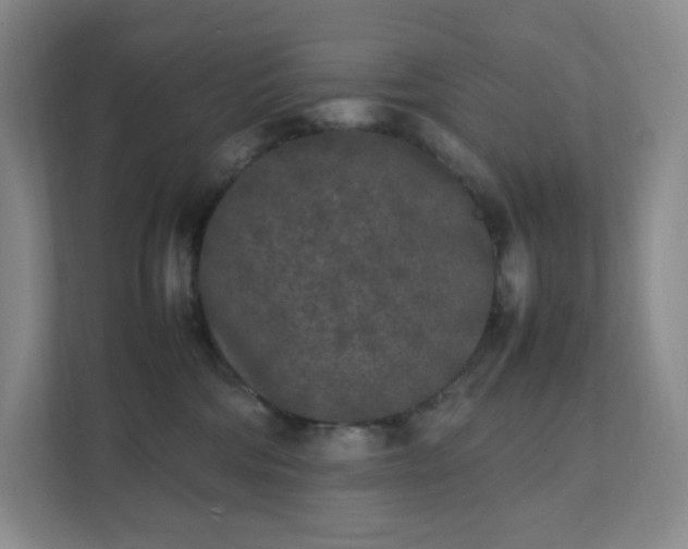 X0000111530330200907211249