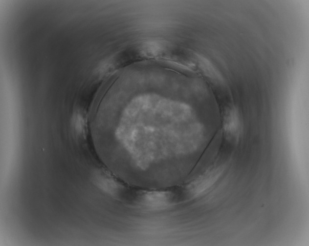 X0000111530332200907211249