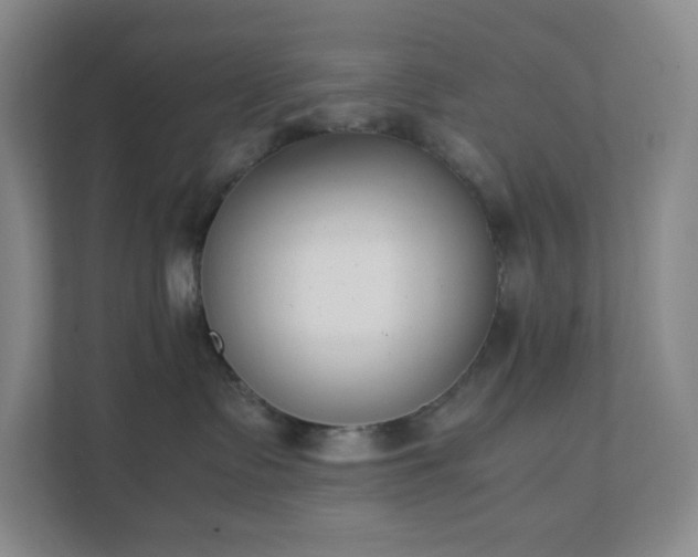 X0000111530335200907211249