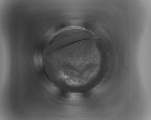 X0000111530336200907211249