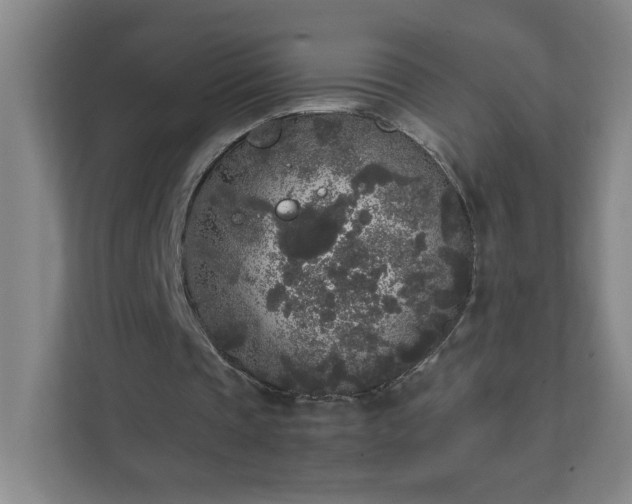 X0000111530337200907211249