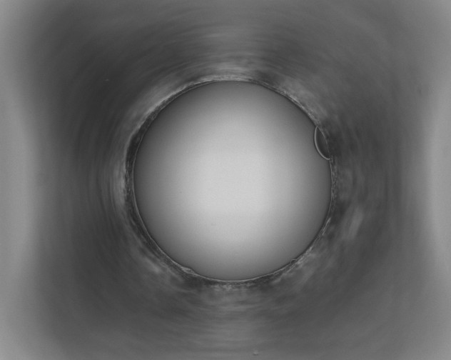 X0000111530338200907211249