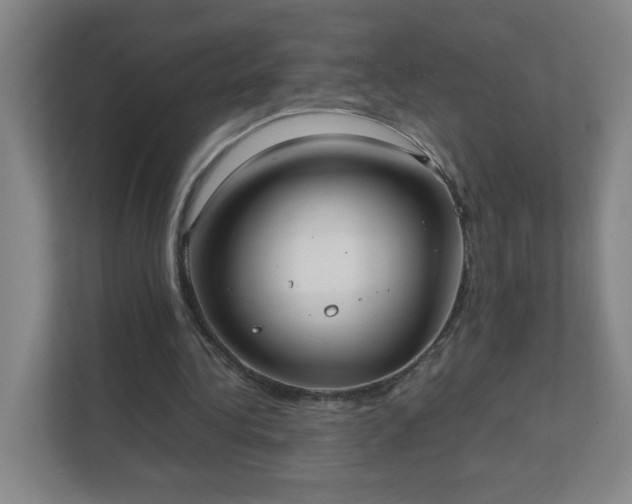 X0000111530340200907211249