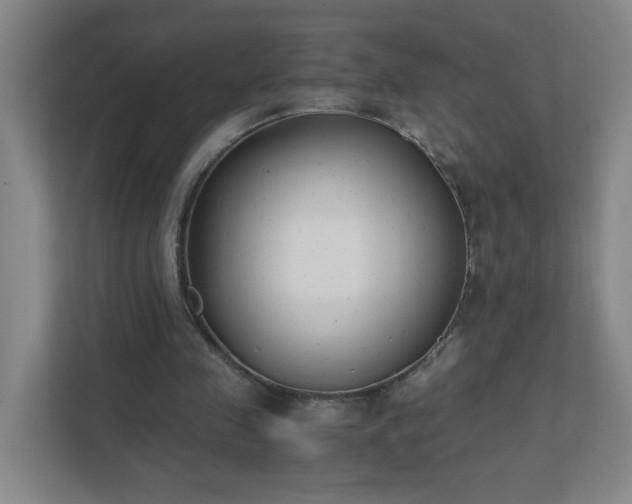 X0000111530341200907211249