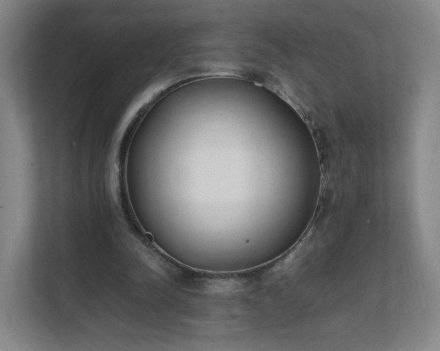 X0000111530342200907211249