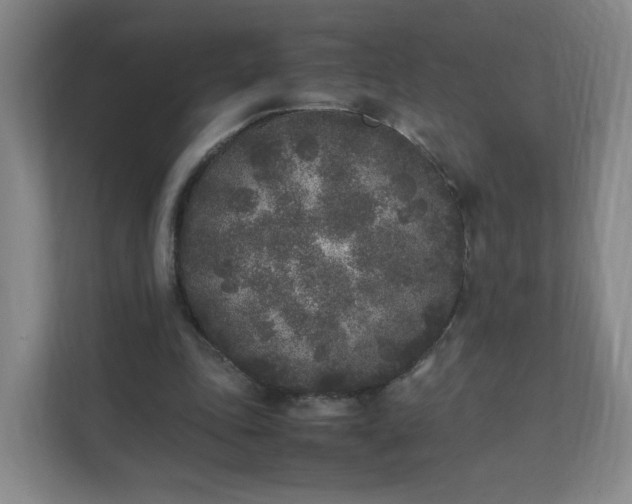 X0000111530343200907211249