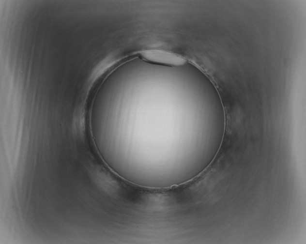 X0000111530344200907211249