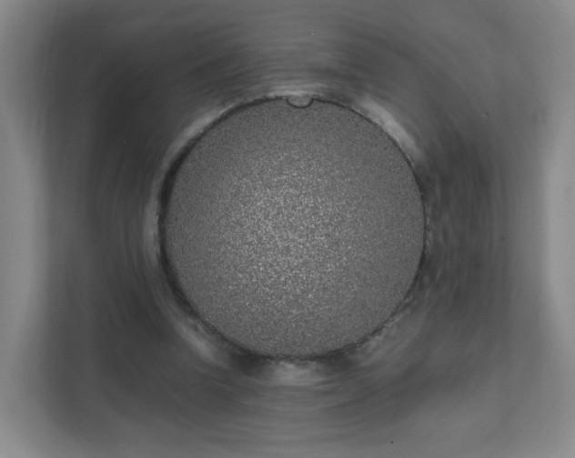 X0000111530346200907211249