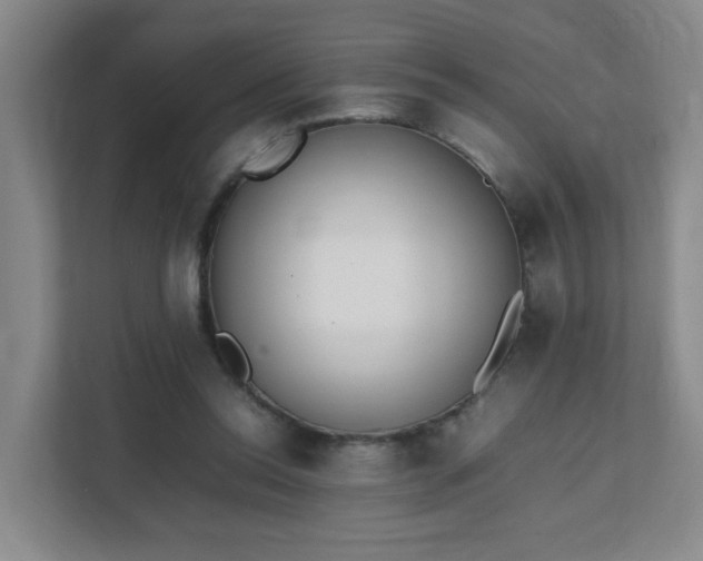 X0000111530350200907211249