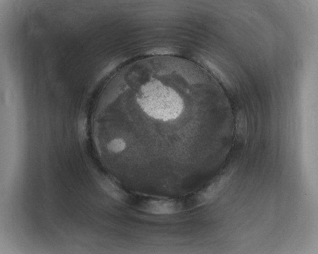 X0000111530351200907211249