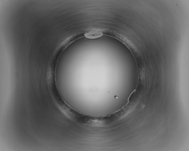 X0000111530352200907211249