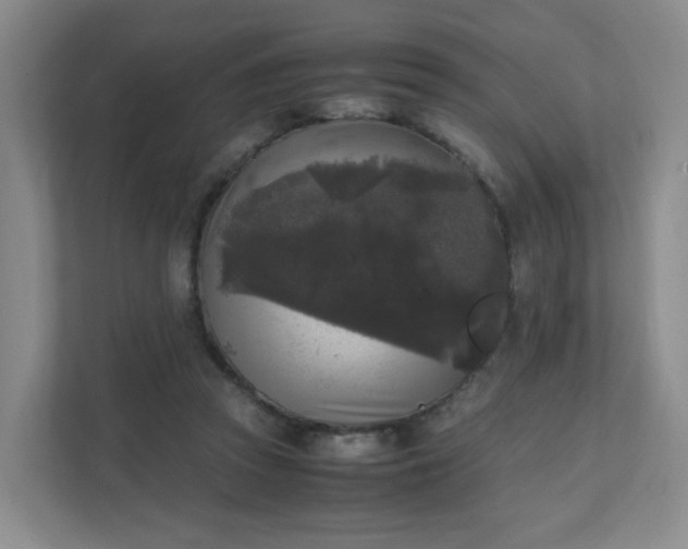 X0000111530353200907211249