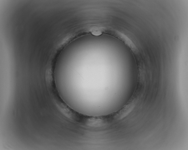 X0000111530354200907211249