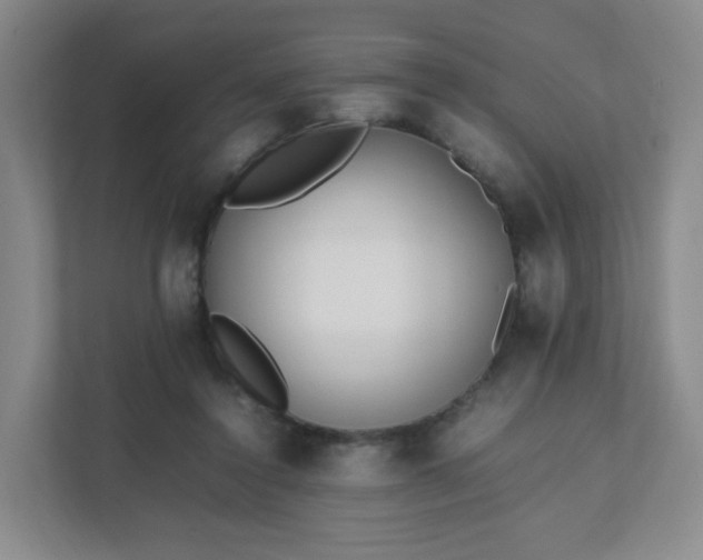 X0000111530356200907211249