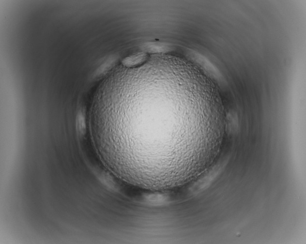 X0000111530358200907211249