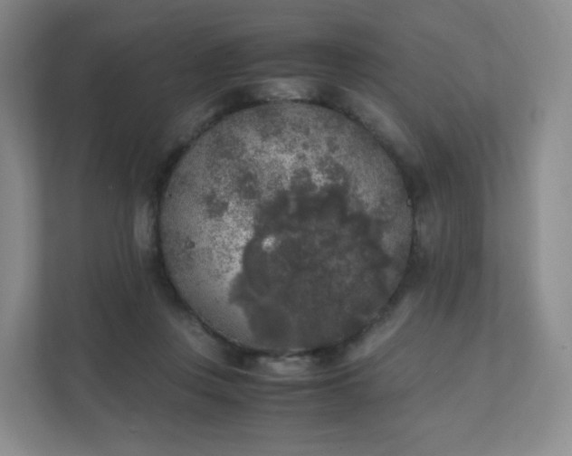 X0000111530359200907211249