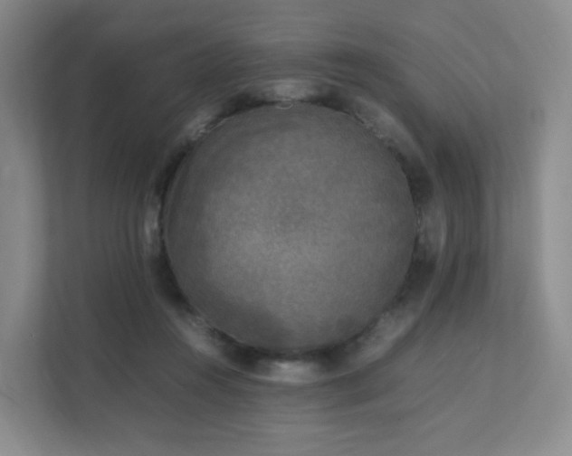 X0000111530360200907211249