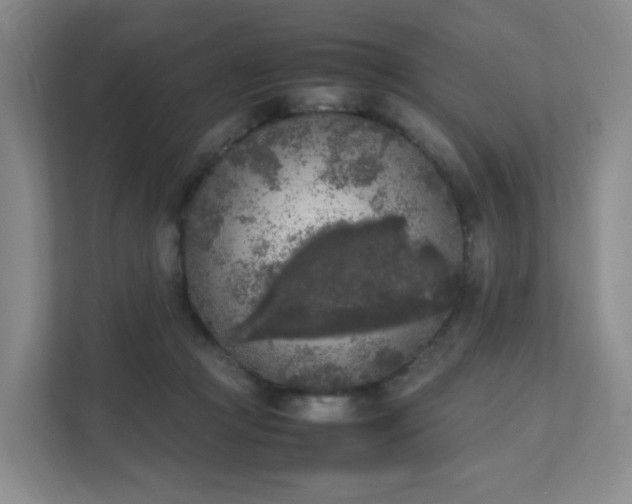 X0000111530361200907211249