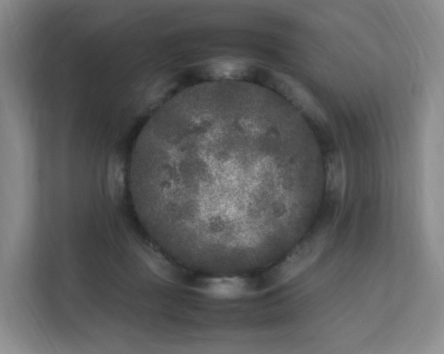 X0000111530363200907211249