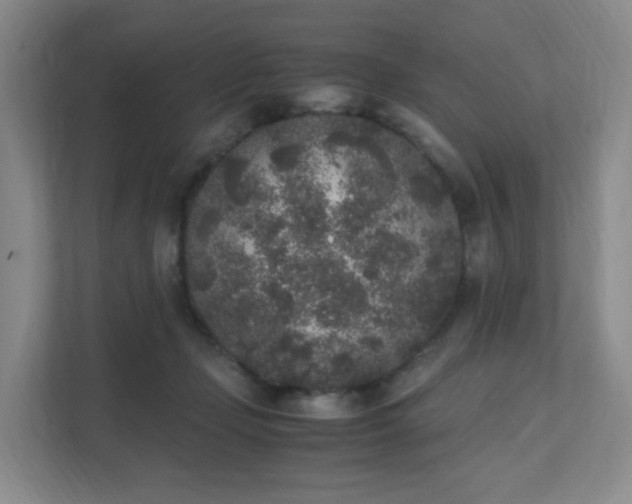 X0000111530365200907211249