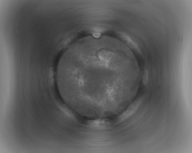 X0000111530366200907211249