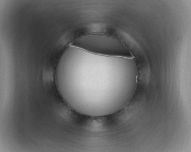 X0000111530368200907211249