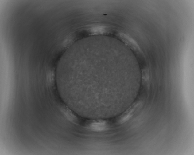 X0000111530369200907211249