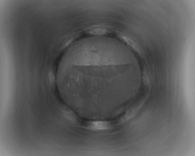 X0000111530371200907211249