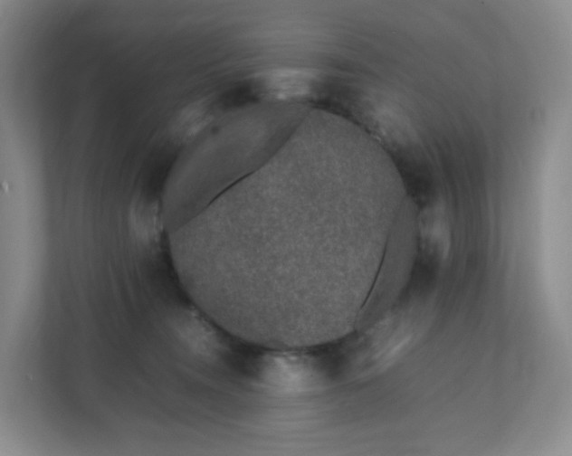 X0000111530372200907211249