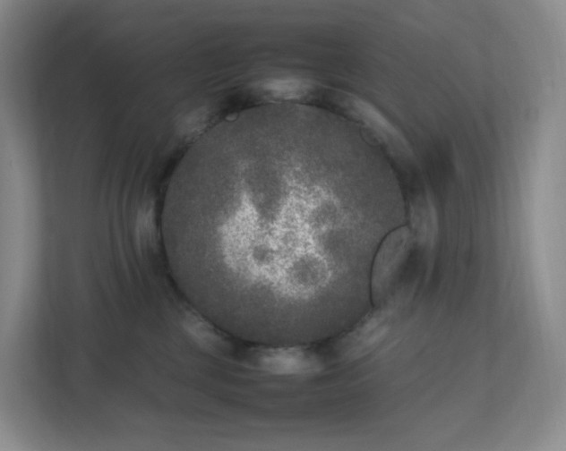 X0000111530377200907211249