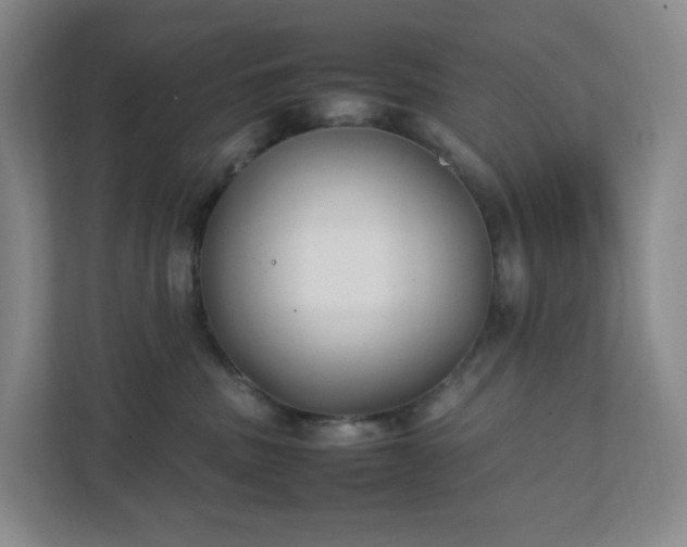 X0000111530379200907211249