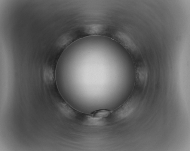 X0000111530380200907211249