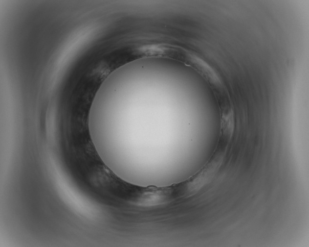 X0000111530381200907211249